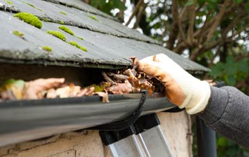 gutter cleaning Lees