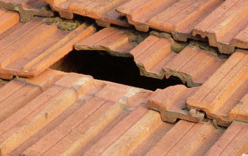 roof repair Lees